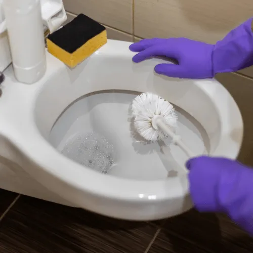 Čišćenje sanitarija i WC-a